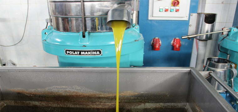 website3_3005